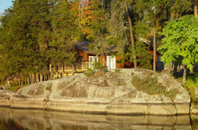 The Hawk Cliff